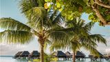 <b>Hilton Moorea Lagoon Resort & Spa Beach</b>. Images powered by <a href="https://iceportal.shijigroup.com/" title="IcePortal" target="_blank">IcePortal</a>.