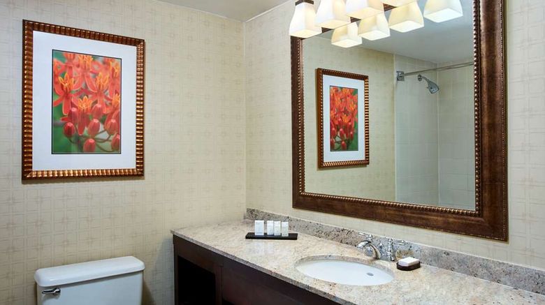 <b>Embassy Suites Parsippany Room</b>. Images powered by <a href="https://iceportal.shijigroup.com/" title="IcePortal" target="_blank">IcePortal</a>.