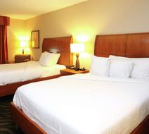 Hilton Garden Inn Chesapeake/Suffolk Room