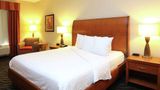 Hilton Garden Inn Chesapeake/Suffolk Room