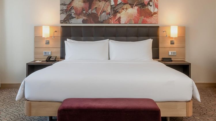 Hilton Mainz Room