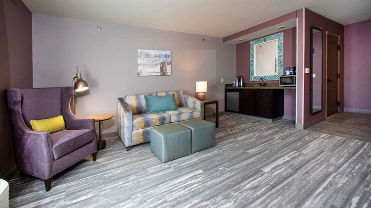 Hilton Garden Inn - Rapid City Other