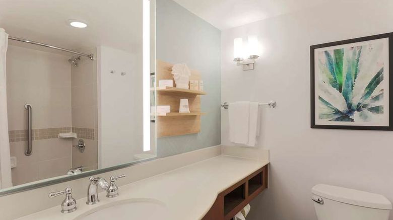 <b>Hilton Garden Inn Raleigh-Durham RTP Room</b>. Images powered by <a href="https://iceportal.shijigroup.com/" title="IcePortal" target="_blank">IcePortal</a>.