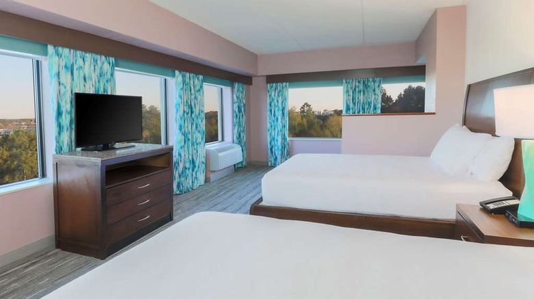 <b>Hilton Garden Inn Raleigh-Durham RTP Room</b>. Images powered by <a href="https://iceportal.shijigroup.com/" title="IcePortal" target="_blank">IcePortal</a>.