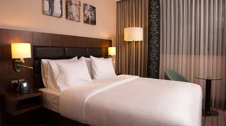 <b>Hilton Garden Inn Rzeszow Room</b>. Images powered by <a href="https://iceportal.shijigroup.com/" title="IcePortal" target="_blank">IcePortal</a>.