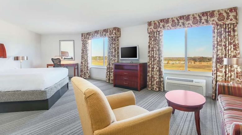 <b>Hilton Garden Inn Roanoke Rapids Room</b>. Images powered by <a href="https://iceportal.shijigroup.com/" title="IcePortal" target="_blank">IcePortal</a>.