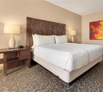 Hilton La Jolla Torrey Pines Room