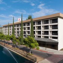 Hilton Stockton