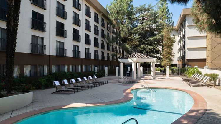 Hilton Stockton Pool