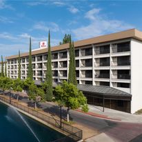 Hilton Stockton
