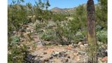 Hilton Scottsdale Resort & Villas Recreation