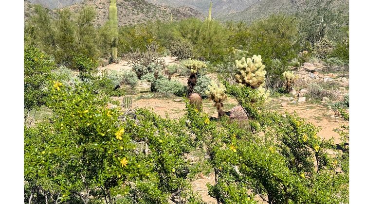 Hilton Scottsdale Resort & Villas Recreation