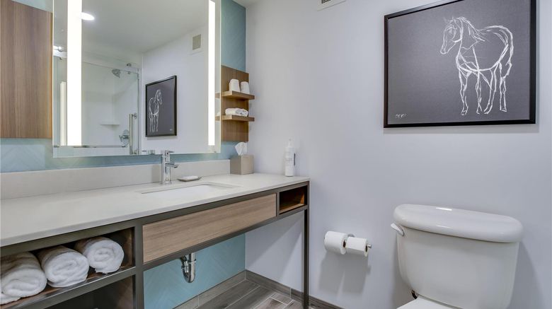 <b>Hilton Garden Inn Louisville Airport Room</b>. Images powered by <a href="https://iceportal.shijigroup.com/" title="IcePortal" target="_blank">IcePortal</a>.