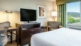 <b>Hilton Garden Inn Seattle/Bothell Room</b>. Images powered by <a href="https://iceportal.shijigroup.com/" title="IcePortal" target="_blank">IcePortal</a>.