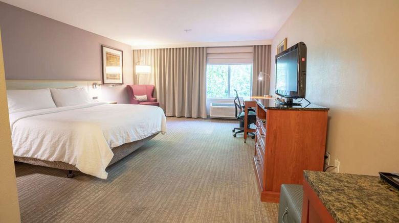<b>Hilton Garden Inn Seattle/Renton Room</b>. Images powered by <a href="https://iceportal.shijigroup.com/" title="IcePortal" target="_blank">IcePortal</a>.