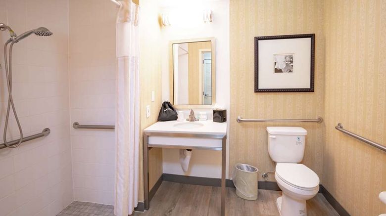 <b>Hilton Garden Inn Seattle/Renton Room</b>. Images powered by <a href="https://iceportal.shijigroup.com/" title="IcePortal" target="_blank">IcePortal</a>.