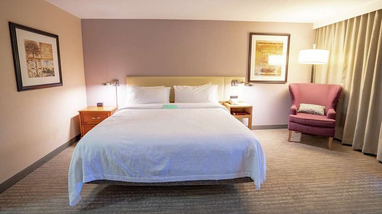 <b>Hilton Garden Inn Seattle/Renton Room</b>. Images powered by <a href="https://iceportal.shijigroup.com/" title="IcePortal" target="_blank">IcePortal</a>.