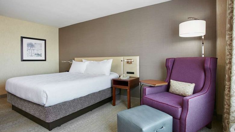 <b>Hilton Garden Inn San Francisco Airport Room</b>. Images powered by <a href="https://iceportal.shijigroup.com/" title="IcePortal" target="_blank">IcePortal</a>.