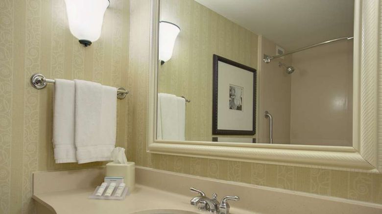 <b>Hilton Garden Inn San Francisco Airport Room</b>. Images powered by <a href="https://iceportal.shijigroup.com/" title="IcePortal" target="_blank">IcePortal</a>.