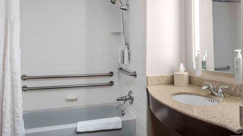 <b>Hilton Garden Inn-Bradenton Airport Room</b>. Images powered by <a href="https://iceportal.shijigroup.com/" title="IcePortal" target="_blank">IcePortal</a>.