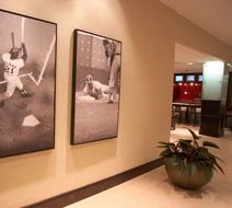 Hilton St Louis at the Ballpark Lobby