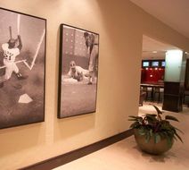 Hilton St Louis at the Ballpark Lobby