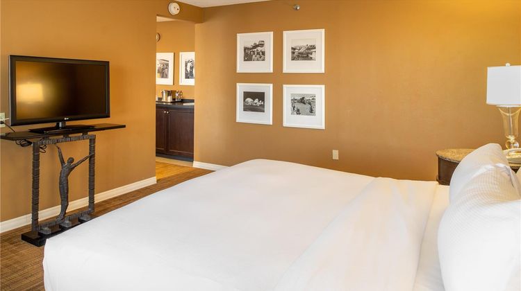 Hilton St Louis Airport Other