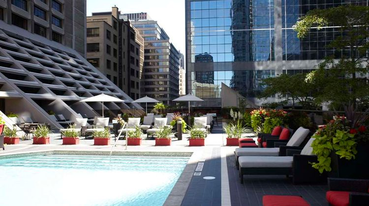Hilton Toronto Pool