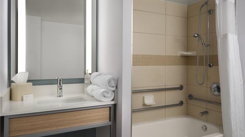 <b>Hilton Garden Inn Tampa East/Brandon Room</b>. Images powered by <a href="https://iceportal.shijigroup.com/" title="IcePortal" target="_blank">IcePortal</a>.