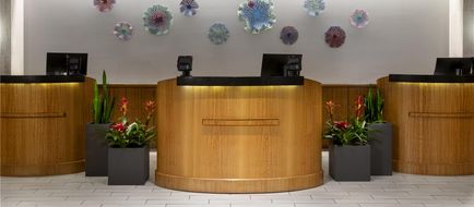 Embassy Suites Tampa - Airport/Westshore Lobby