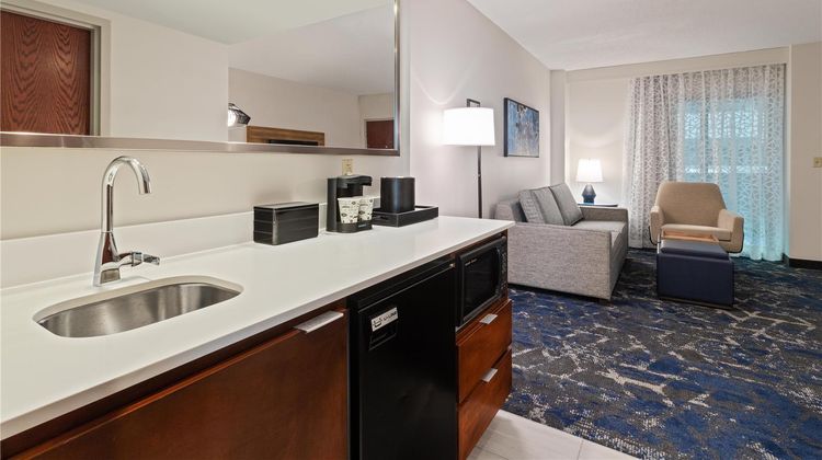Embassy Suites USF/near Busch Gardens Room