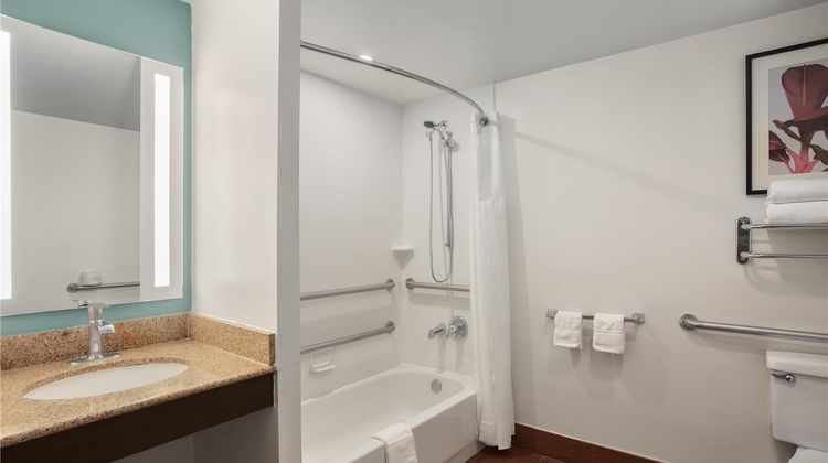 Hilton Garden Inn Tampa North Room
