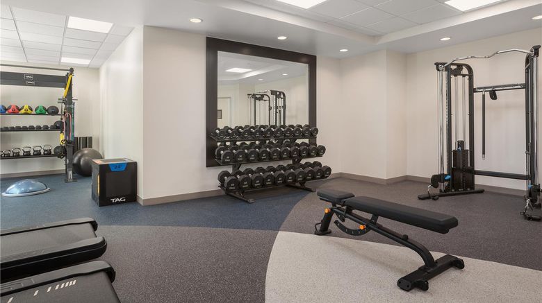 <b>Hilton Garden Inn Tampa North Health</b>. Images powered by <a href="https://iceportal.shijigroup.com/" title="IcePortal" target="_blank">IcePortal</a>.