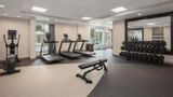 <b>Hilton Garden Inn Tampa North Health</b>. Images powered by <a href="https://iceportal.shijigroup.com/" title="IcePortal" target="_blank">IcePortal</a>.