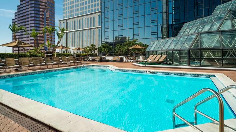 <b>Hilton Tampa Downtown Pool</b>. Images powered by <a href="https://iceportal.shijigroup.com/" title="IcePortal" target="_blank">IcePortal</a>.