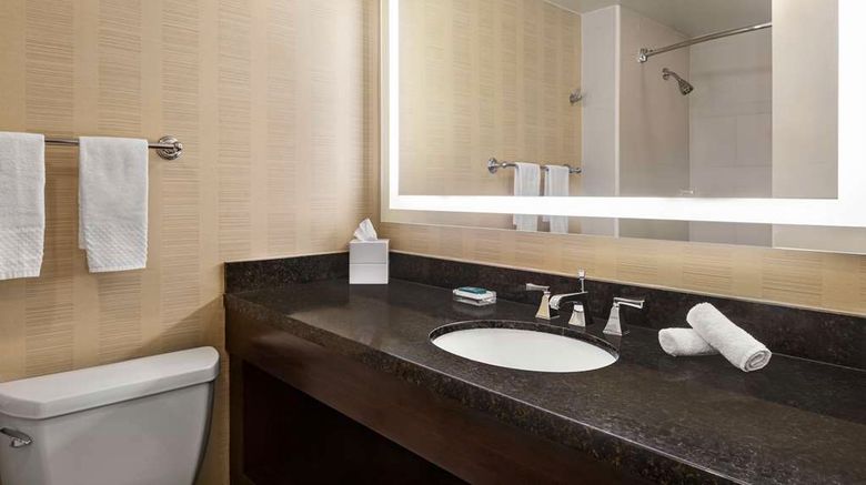 <b>Hilton Tampa Downtown Room</b>. Images powered by <a href="https://iceportal.shijigroup.com/" title="IcePortal" target="_blank">IcePortal</a>.
