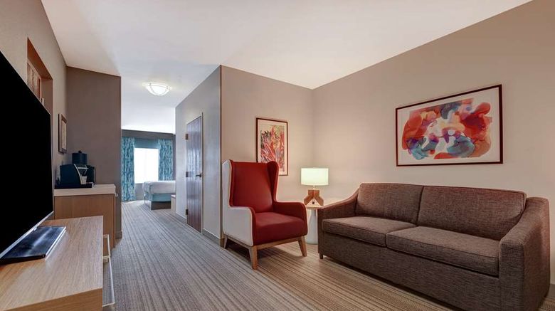 <b>Hilton Garden Inn Tampa NW/Oldsmar Room</b>. Images powered by <a href="https://iceportal.shijigroup.com/" title="IcePortal" target="_blank">IcePortal</a>.