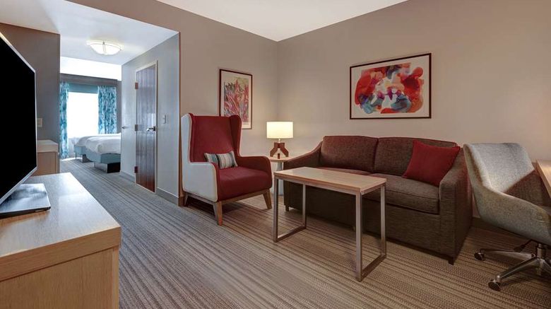 <b>Hilton Garden Inn Tampa NW/Oldsmar Room</b>. Images powered by <a href="https://iceportal.shijigroup.com/" title="IcePortal" target="_blank">IcePortal</a>.