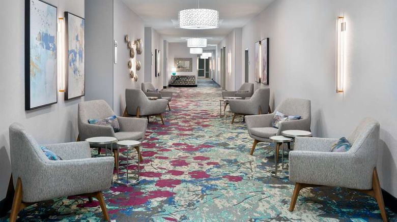 <b>Hilton Garden Inn Tampa/Brandon Meeting</b>. Images powered by <a href="https://iceportal.shijigroup.com/" title="IcePortal" target="_blank">IcePortal</a>.