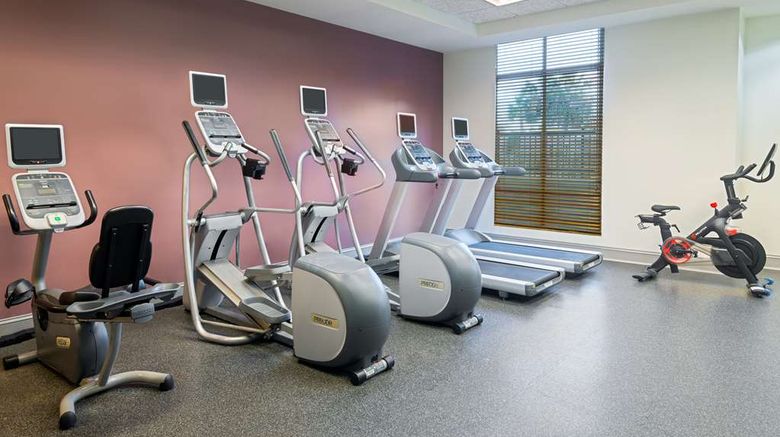 <b>Hilton Garden Inn Tampa/Brandon Health</b>. Images powered by <a href="https://iceportal.shijigroup.com/" title="IcePortal" target="_blank">IcePortal</a>.
