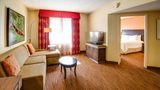 Hilton Garden Inn Ybor Historic District Other