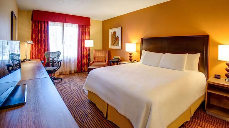 <b>Hilton Garden Inn Ybor Historic District Room</b>. Images powered by <a href="https://iceportal.shijigroup.com/" title="IcePortal" target="_blank">IcePortal</a>.