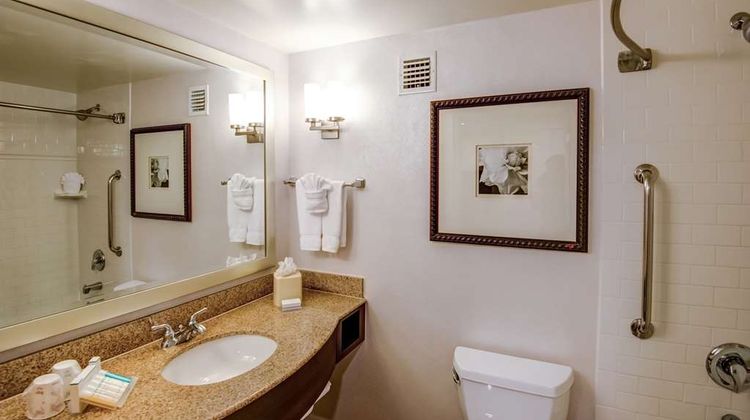 Hilton Garden Inn Ybor Historic District Room
