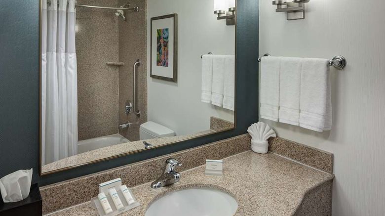 <b>Hilton Garden Inn Airport Room</b>. Images powered by <a href="https://iceportal.shijigroup.com/" title="IcePortal" target="_blank">IcePortal</a>.
