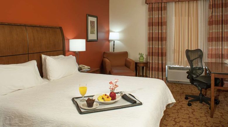 <b>Hilton Garden Inn Tulsa Airport Room</b>. Images powered by <a href="https://iceportal.shijigroup.com/" title="IcePortal" target="_blank">IcePortal</a>.