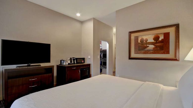 <b>Hilton Garden Inn Twin Falls Room</b>. Images powered by <a href="https://iceportal.shijigroup.com/" title="IcePortal" target="_blank">IcePortal</a>.