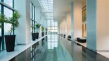 Conrad Tokyo Pool