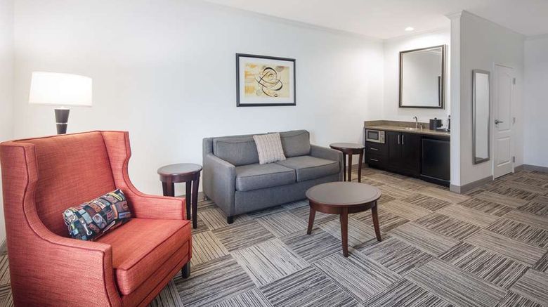 <b>Hilton Garden Inn Tyler Other</b>. Images powered by <a href="https://iceportal.shijigroup.com/" title="IcePortal" target="_blank">IcePortal</a>.