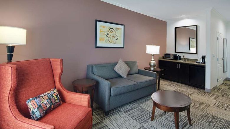 <b>Hilton Garden Inn Tyler Other</b>. Images powered by <a href="https://iceportal.shijigroup.com/" title="IcePortal" target="_blank">IcePortal</a>.