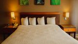 Hilton Garden Inn Boca del Rio Veracruz Room